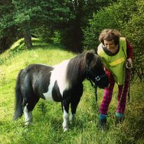 black and white pony with person